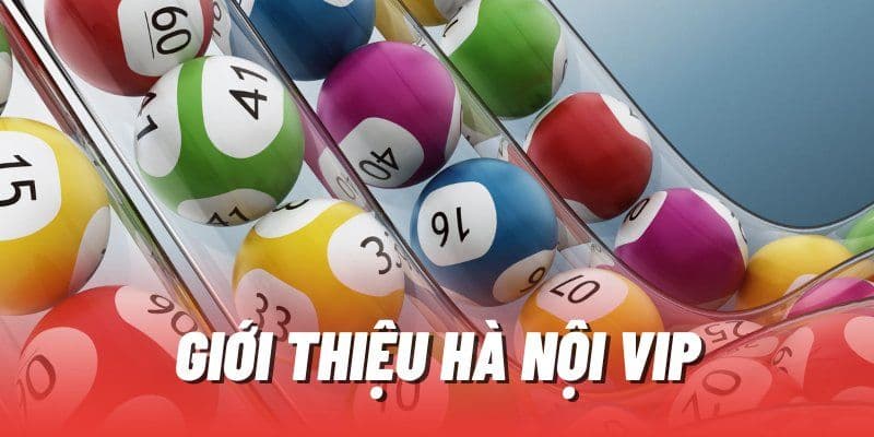 Tổng quan sảnh xổ số Hà Nội Vip hội viên cần nắm